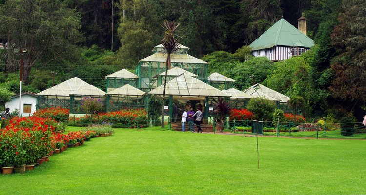 Ooty Botanical Gardens